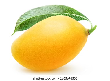 One Whole Yellow Mango Fruit Isolated On White Background