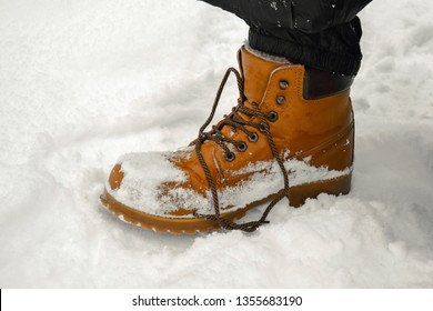 One Winter Boot Covered In Snow With Untied / Loose Shoelaces. Sopping Yellow-brown Winter Boot Made Of Leather With Laces Undone. 