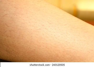 One Woman Hairy Leg Closeup View