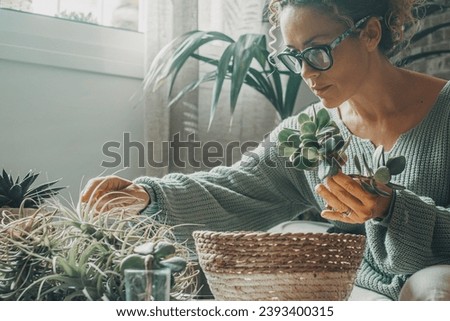 One woman at home sitting and doing gardening nature activity indoor with succulenta plants. Concept of natural lifestyle female people. Sustainable green indoor leisure activity indoor apartment