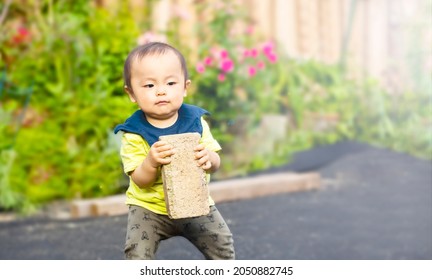 one year old baby boy carry heavy brick isolated on a garden background and copy space. transportation, moving, architecture concept.