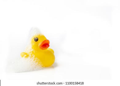 One Yellow Rubber Duck With Soap Suds On Its Head On White Background