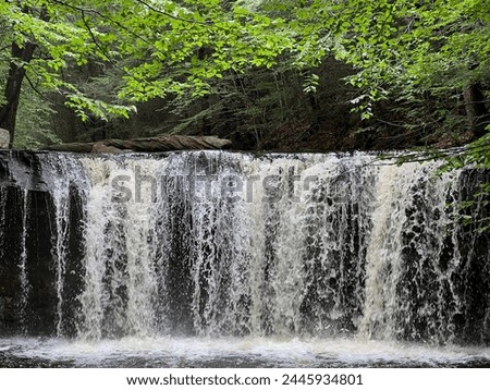Oneida Falls tumbles through Ricketts Glen State Park in Benton, Pennsylvania.
