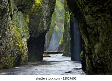 Oneonta Gorge