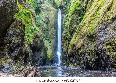 Oneonta Gorge