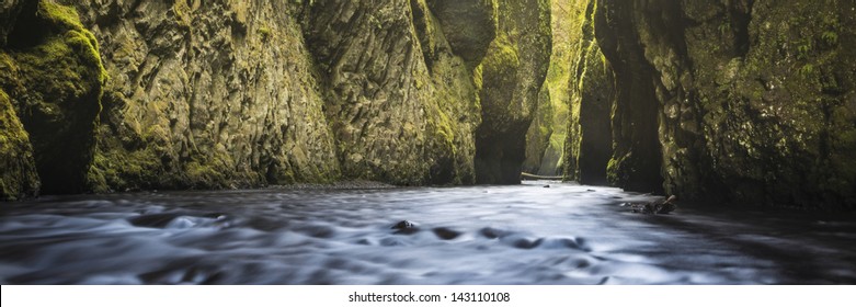 Oneonta Gorge In The Columbia River Gorge, Oregon