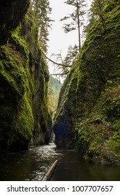 Oneonta Gorge, Oregon