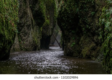 Oneonta Gorge In Oregon