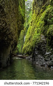 Oneonta Gorge In Orgeon