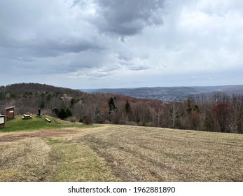 Oneonta NY USA - April 11 2021 - Bird Watching At The  Delaware-Otsego Audubon Society Sanctuary. Overlooking Oneonta The Sanctuary Is Home To A Large Diversity Of Wildlife, Including Many Birds