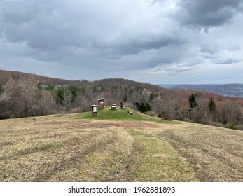 Oneonta NY USA - April 11 2021 - Bird Watching At The  Delaware-Otsego Audubon Society Sanctuary. Overlooking Oneonta The Sanctuary Is Home To A Large Diversity Of Wildlife, Including Many Birds