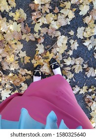 One's step on the fallen maple leaves.