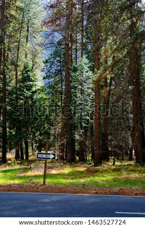 oneway sign in yosemite national park california trees road 