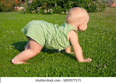 One-year-old Child Boy Crawls On The Green Grass In The Backyard Of The House. First Steps. Child's Height. Child Care. Trouble Walking.