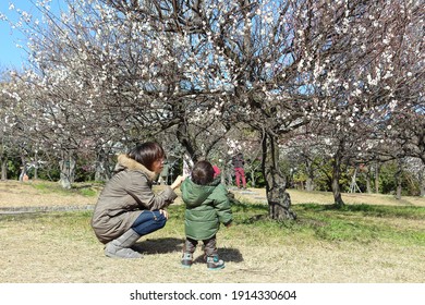 A One-year-old Child Looking Up At A Plum Tree And A Mother Looking Up At The Child