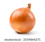 Onion bulb isolated on white background. Clipping path.