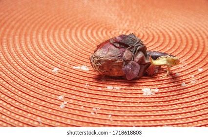 Onion And Circular Red Doily