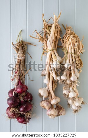 Onion and garlic plaits hanging on a kitchen wall