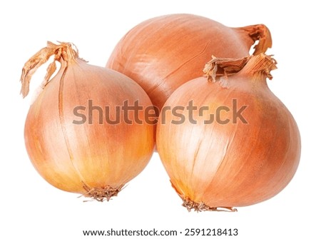 Onion isolate on a white background. Vegetable, onion