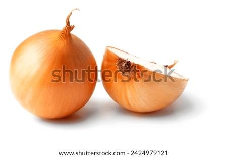 Onion isolated. Onion bulb on white. Onion golden bulb. With cli