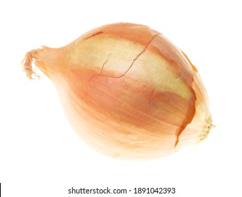Onion isolated on a white background. Close-up