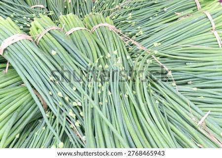 onion leaf bundle on shop for sell, harvest are cash crops contains chemicals that seem to reduce swelling, lung tightness related to asthma, reduce cholesterol, lower blood sugar,can prevent scarring