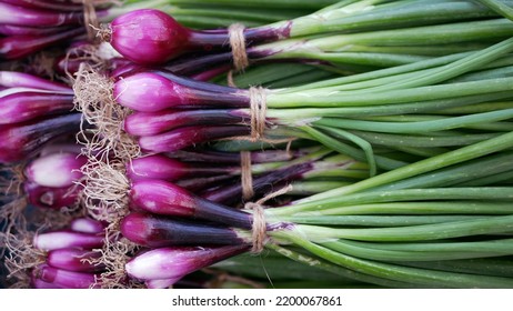 Onion purple red harvest fresh ripe harvesting market shop spring sibies scallion food stem stalk Allium cepa thick bulb common organic plant vegetables sprout grows ground bio farmer farming garden - Powered by Shutterstock