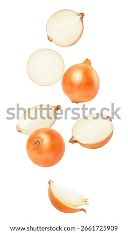 Onion with onion slice falling isolated on white background.