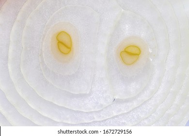 Onion Sliced Closeup, Macro Photo. Background Abstract Food Image.
