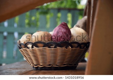 Similar – Image, Stock Photo orchard meadow, apple harvest