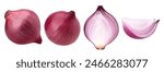 onions (shallots), slices and half isolated on white background, Onions (shallots) macro studio photo, clipping path