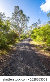 Onkaparinga River National Park Trail View On A Bright Day