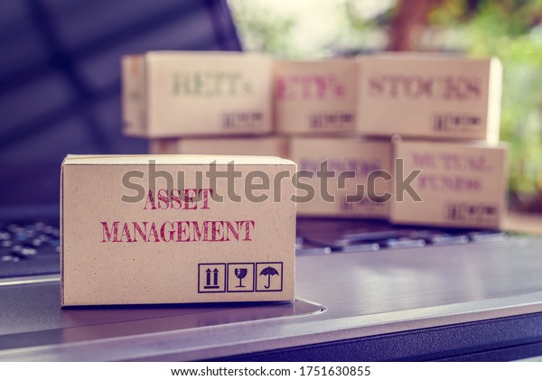 Online asset management / portfolio risk\
diversification for long-term sustainable growth concept : Boxes of\
financial products e.g bonds, commodities, stocks, mutual funds,\
ETFs, REITs on a laptop