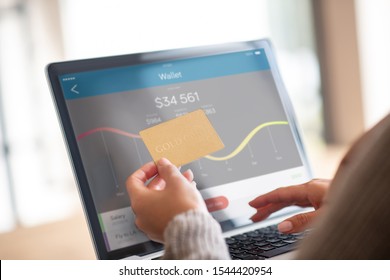 Online Bank Account. Close Up Of Woman Checking Balance Of Bank Account Online After Shopping