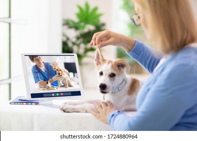 Online consultation with veterinarian. Vet examining animal via video chat. Dog check up during quarantine. Veterinary doctor checking pet in conference call. Remote medicine and emergency assistance. - Powered by Shutterstock