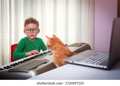 Online Lesson On The Piano. Child And Cat Playing With Remote Education. 