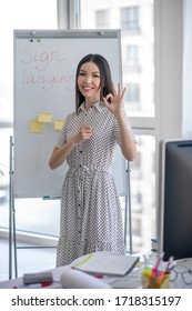 Online Training. Young Sign Language Interpreter Standing Near The Flipchart