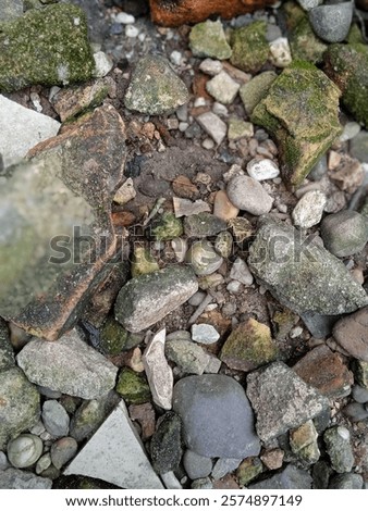 The only difference between stumbling blocks and stepping stones is how we treat them
Pekanbaru, Indonesia - January 22, 2025