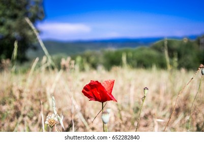 1,006,631 One only Images, Stock Photos & Vectors | Shutterstock