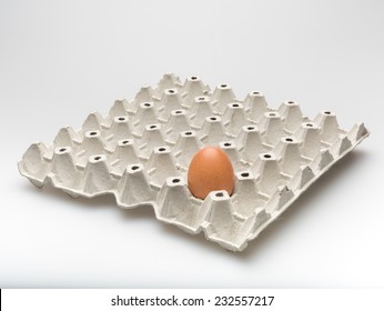 Only One Egg Left - Side View