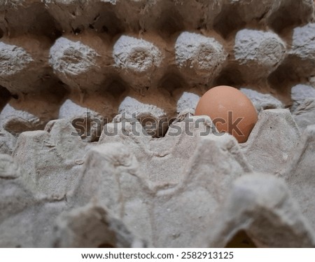 Similar – Image, Stock Photo Eggs on rack in local market for sale