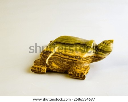 Onyx turtle bringing good luck on a white background.