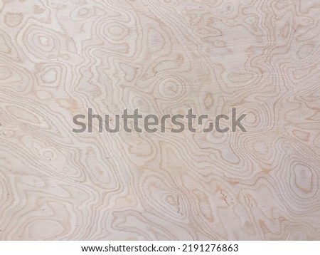ood texture background surface. Vintage wood texture background