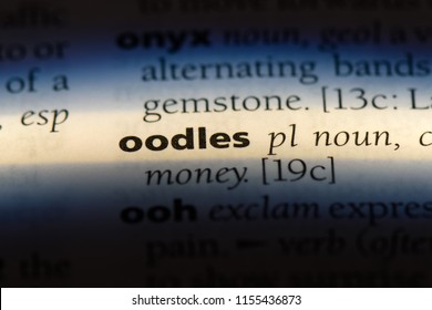 oodles word in a dictionary. oodles concept. - Shutterstock ID 1155436873