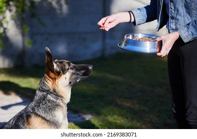Ooo, food time. Shot of an unrecognizable woman feeding her German Shepherd outside during the day. - Shutterstock ID 2169383071