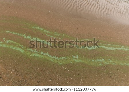 A ooze pattern on sandy beach. Wet sand of a lake shore.