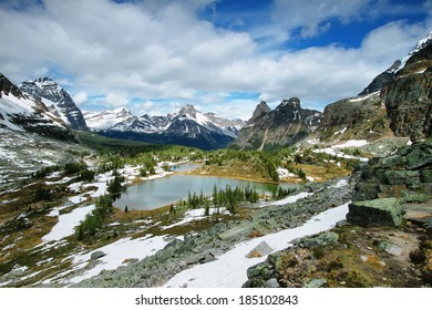 Opabin Plateau, Yoho National Park, Canada