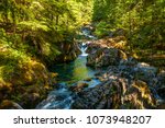 Opal Creek in the Opal Creek Wilderness.  It is a wilderness area located in the Willamette National Forest in Oregon.