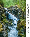 Opal Creek in the Opal Creek Wilderness.  It is a wilderness area located in the Willamette National Forest in Oregon.