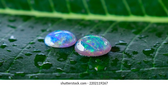 Opal Is A Gem That Has Beautiful Colors Rare And Expensive